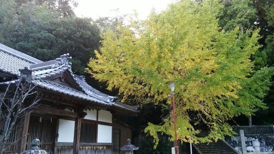 Kumano Sansyo Shrine